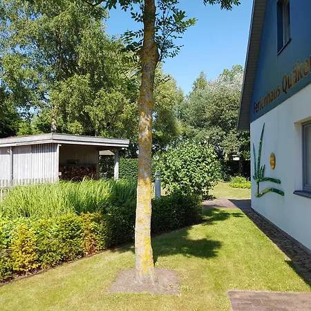 Quaekenpueker Kamin Haustier